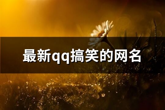 最新qq搞笑的网名(共283个)