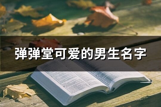 弹弹堂可爱的男生名字(552个)