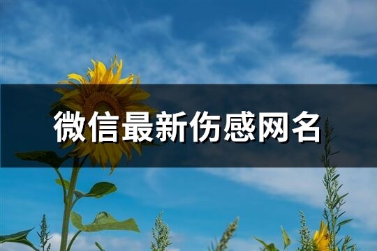 微信最新伤感网名(共585个)