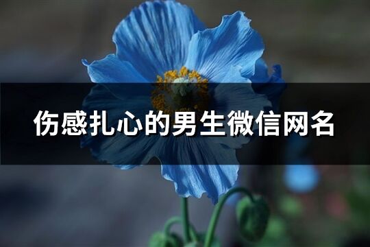 伤感扎心的男生微信网名(共342个)