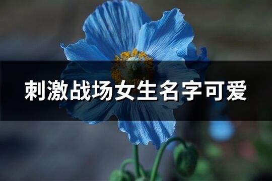 刺激战场女生名字可爱(共293个)