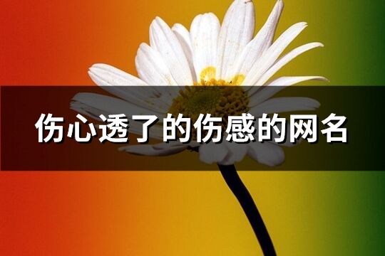 伤心透了的伤感的网名(共856个)