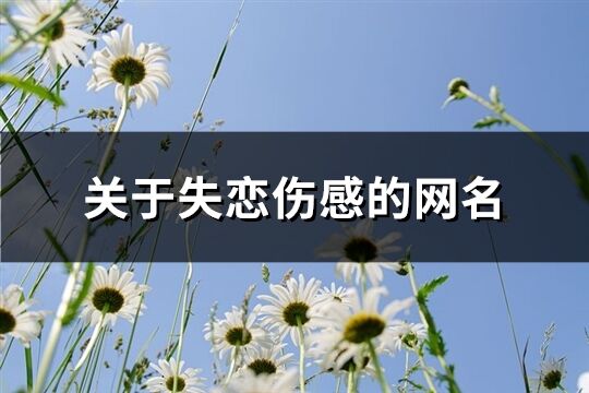 关于失恋伤感的网名(共635个)