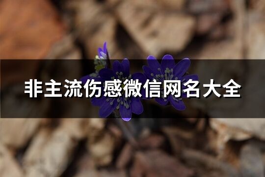 非主流伤感微信网名大全(共613个)