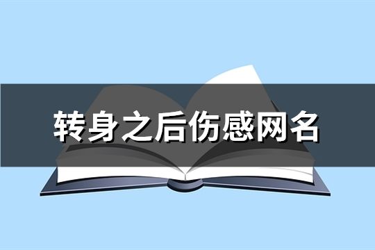 转身之后伤感网名(共104个)