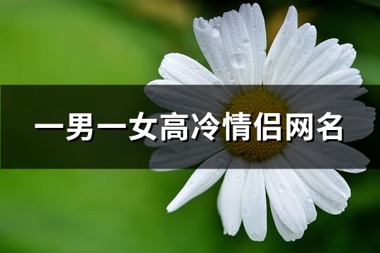 一男一女高冷情侣网名(共73个)