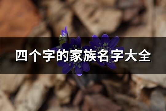 四个字的家族名字大全(共434个)