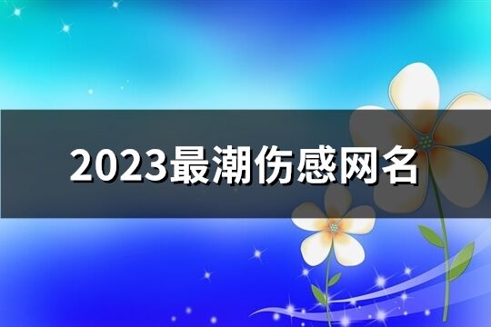 2023最潮伤感网名(共490个)