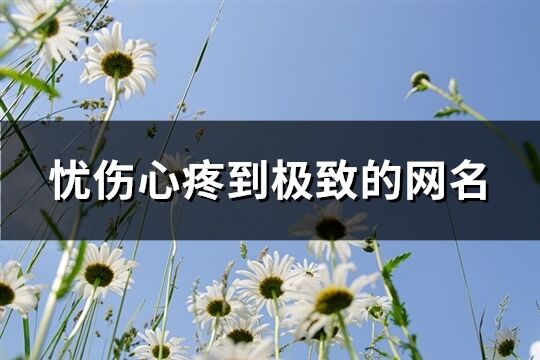 忧伤心疼到极致的网名(924个)