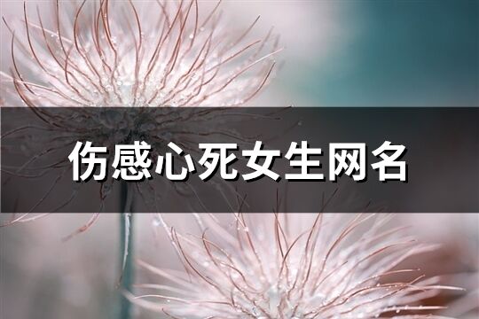 伤感心死女生网名(精选359个)