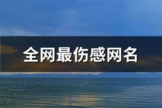 全网最伤感网名(196个)