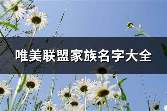 唯美联盟家族名字大全(共617个)