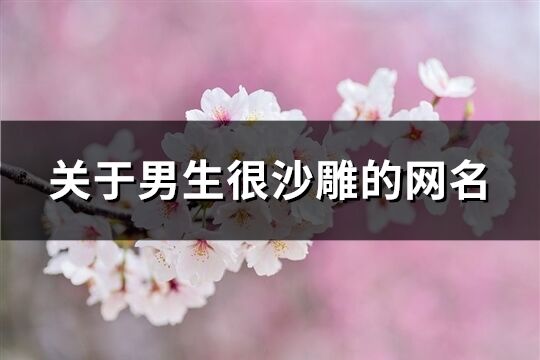 关于男生很沙雕的网名(共591个)