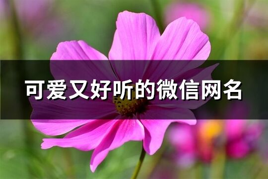 可爱又好听的微信网名(共568个)