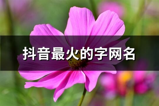 抖音最火的字网名(共85个)