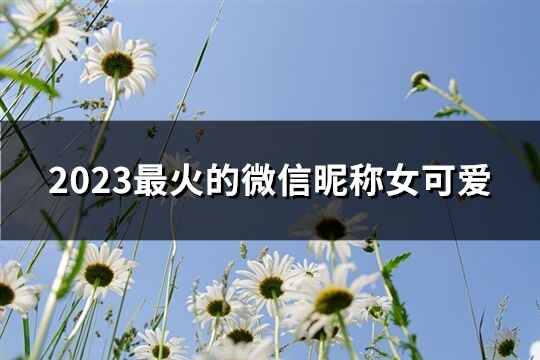 2023最火的微信昵称女可爱(共284个)