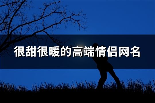 很甜很暖的高端情侣网名(精选63对)