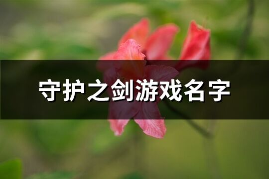 守护之剑游戏名字(共131个)