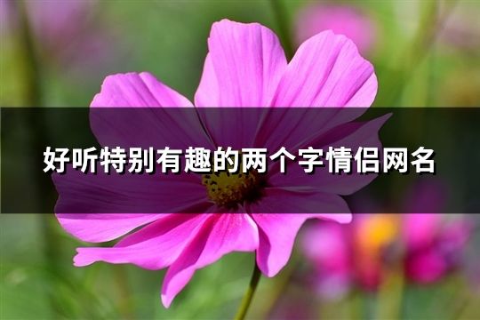 好听特别有趣的两个字情侣网名(共545对)