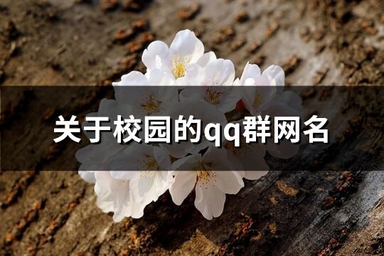 关于校园的qq群网名(共197个)