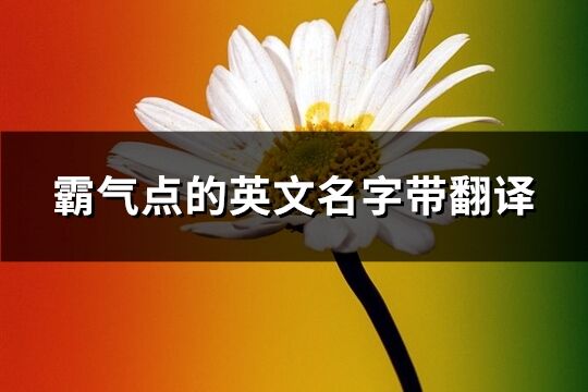 霸气点的英文名字带翻译(共140个)