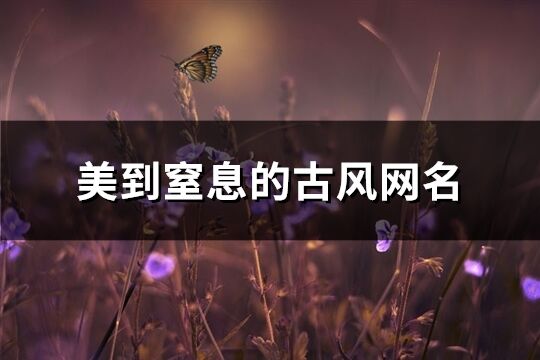 美到窒息的古风网名(共671个)