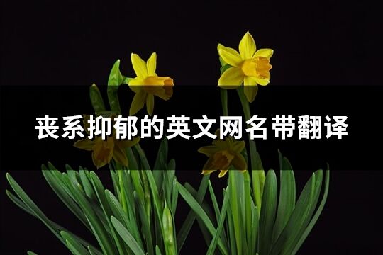 丧系抑郁的英文网名带翻译(共66个)