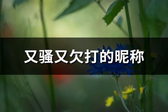 又骚又欠打的昵称(共355个)