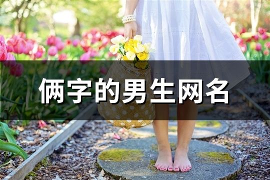 俩字的男生网名(65个)