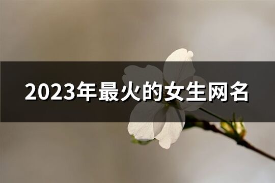 2023年最火的女生网名(1261个)