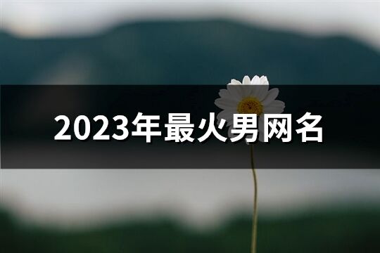 2023年最火男网名(共799个)