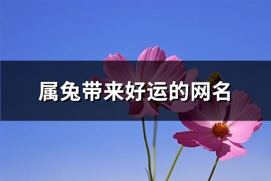 属兔带来好运的网名(共102个)