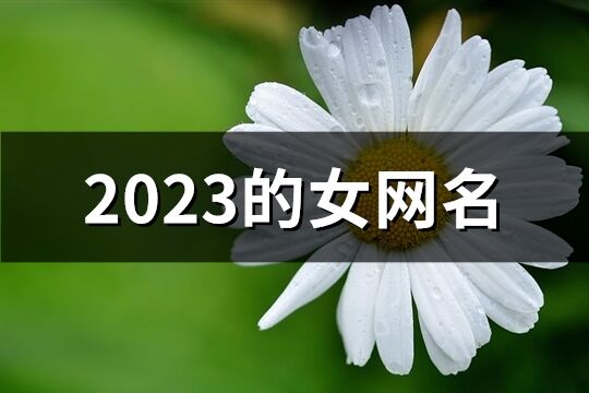 2023的女网名(精选1310个)