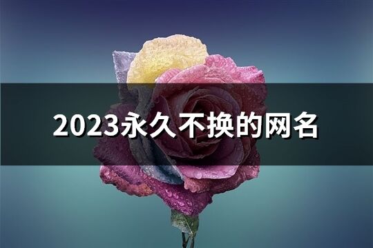 2023永久不换的网名(精选947个)