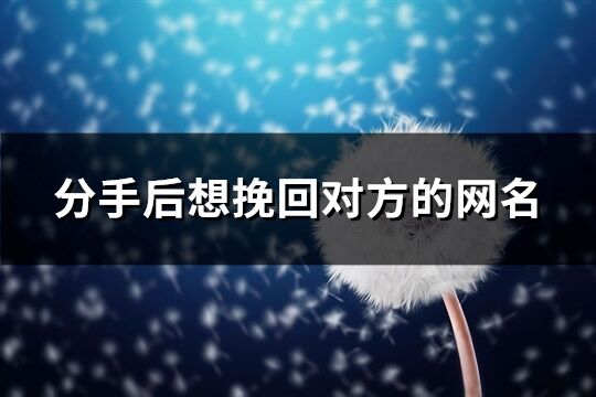 分手后想挽回对方的网名(共100个)