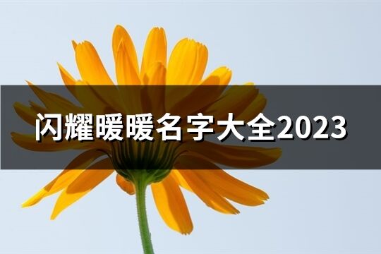 闪耀暖暖名字大全2023(共303个)