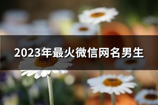 2023年最火微信网名男生(共2805个)