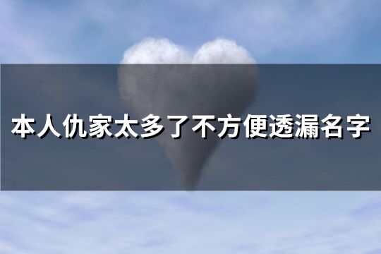 本人仇家太多了不方便透漏名字(精选65个)