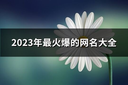 2023年最火爆的网名大全(共1269个)