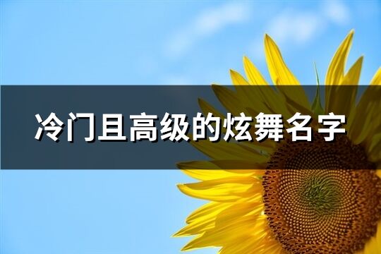 冷门且高级的炫舞名字(272个)