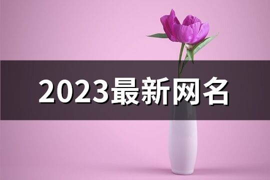 2023最新网名(精选935个)