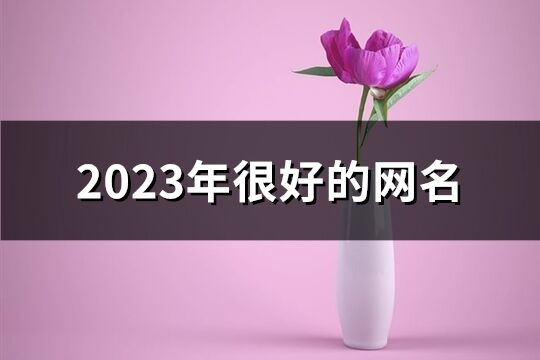 2023年很好的网名(1733个)