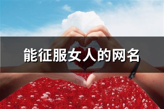 能征服女人的网名(精选50个)