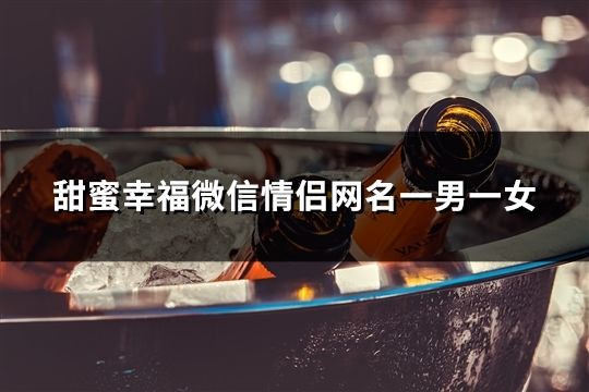 甜蜜幸福微信情侣网名一男一女(精选85对)