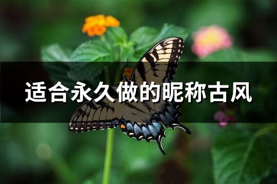 适合永久做的昵称古风(共290个)