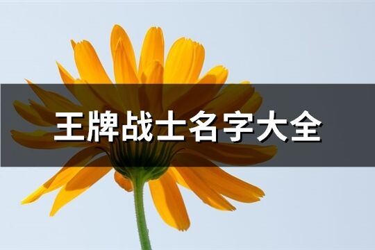 王牌战士名字大全(468个)