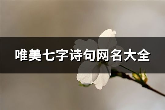 唯美七字诗句网名大全(622个)