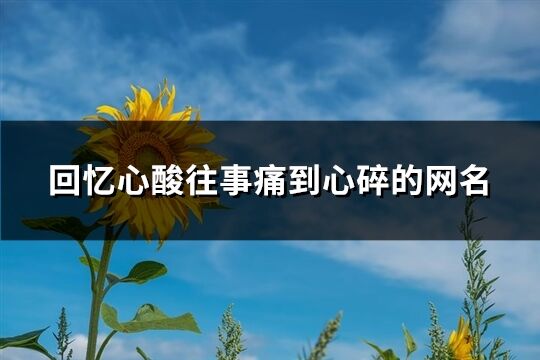 回忆心酸往事痛到心碎的网名(共445个)