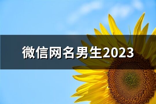 微信网名男生2023(共1961个)