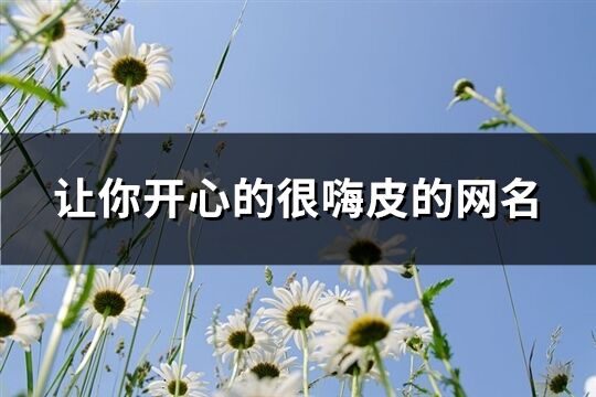 让你开心的很嗨皮的网名(288个)